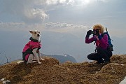 34 Stelina, fotomodella a quattro zampe !